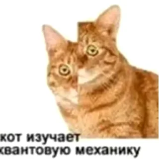 ⚙️ emoji кот спит Telegram sticker 10 of 41