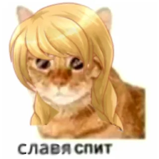 💛 emoji кот спит Telegram sticker 23 of 41