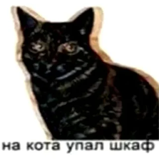 🗄️ emoji кот спит Telegram sticker 12 of 41