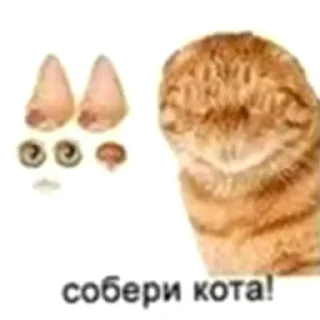 🛠️ emoji кот спит Telegram sticker 16 of 41