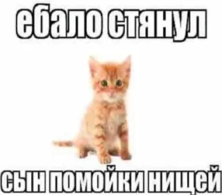 Sticker from Я гей