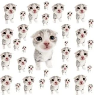 Sticker from меня зовут степан