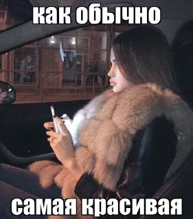 🌟 emoji киса @fStikBot Telegram sticker 17 of 59