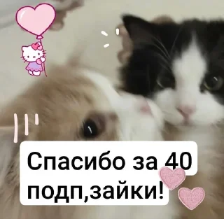 Sticker from Стикеры от марфуши💘