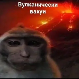 Sticker from люти вахуи пон😈