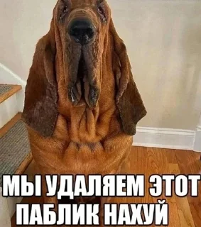 🌟 emoji нигермания Telegram sticker 9 of 37