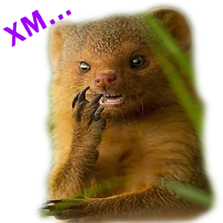 Sticker from Stickers @stickersb2b