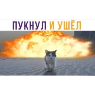 💥 emoji у меня передоз Telegram sticker 8 of 30