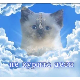 😶‍🌫️ emoji у меня передоз Telegram sticker 6 of 30