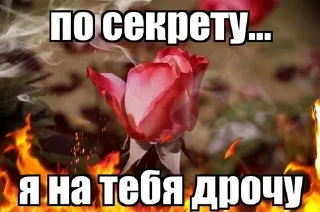 😝 emoji Улям мин уже скоро уфала Telegram sticker 4 of 61