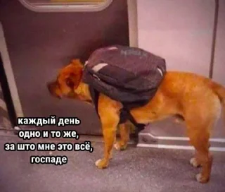 😭 emoji Улям мин уже скоро уфала Telegram sticker 16 of 61