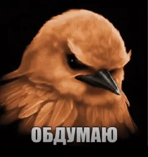 🌟 emoji Птичкэ😔 @leshiy_10 Telegram sticker 10 of 113