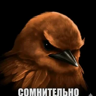 🦜 emoji птички delux edition Telegram sticker 8 of 66
