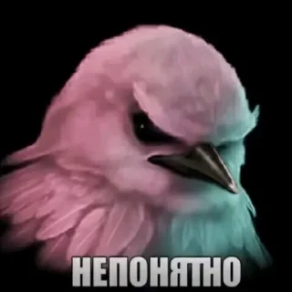 🦜 emoji птички delux edition Telegram sticker 20 of 66