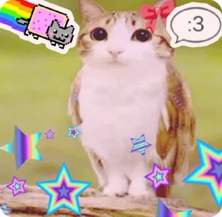 🌟 emoji meowl's pack Telegram sticker 13 of 26