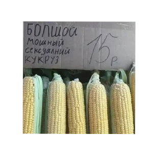 🍲 emoji Щовельный суп Telegram sticker 10 of 70