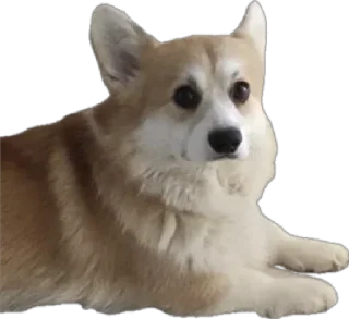 Sticker from Charlie’s Mood Pack