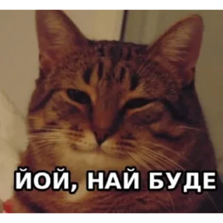 Sticker from Memes images