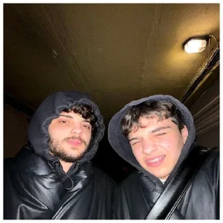 🥷 emoji Даник веник Telegram sticker 17 of 19