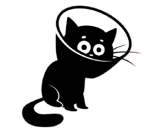 👀 emoji Чёрный кот @TgSticker Telegram sticker 17 of 20
