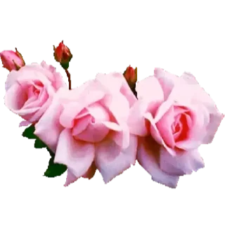 💟 emoji Цветы Telegram sticker 17 of 29