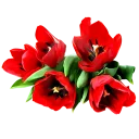 🌹 emoji Цветы Telegram sticker 10 of 45