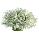 🌹 emoji Цветы Telegram sticker 11 of 45