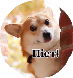 🌟 emoji Катюня стайл Telegram sticker 19 of 33