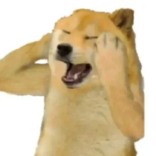 🫨 emoji You're unlucky Telegram sticker 15 of 29