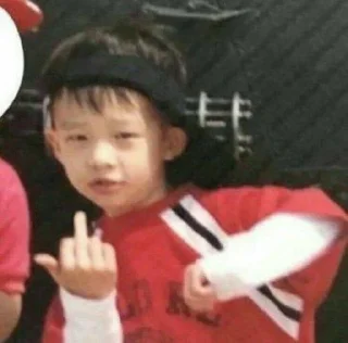 🖕 emoji от @an_suho stray kids Telegram sticker 20 of 61