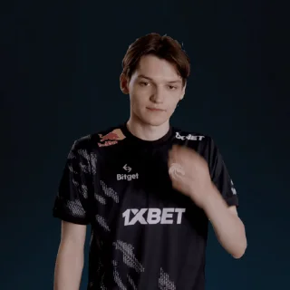 🤙 emoji Team Spirit Dota2 Telegram sticker 21 of 36