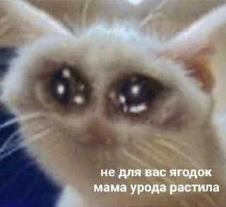 😭 emoji любвеобильный набор Telegram sticker 14 of 75