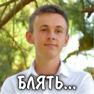 😥 emoji Шашлички🥩🥩🥩 Telegram sticker 11 of 90