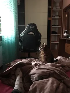 Sticker from max