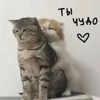 🥰 emoji специально для тебя! Telegram sticker 6 of 25