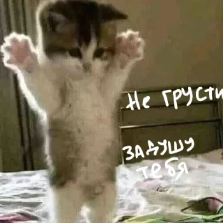 😞 emoji специально для тебя! Telegram sticker 8 of 25