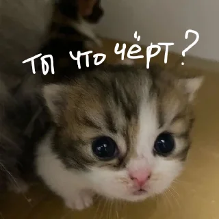 🥺 emoji специально для тебя! Telegram sticker 10 of 25