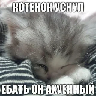 😇 emoji специально для тебя! Telegram sticker 12 of 25