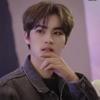 🐱 emoji xiaojun by @stikersnct Telegram sticker 20 of 34