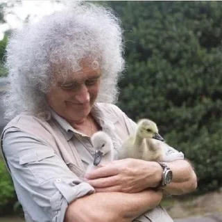 🐸 emoji Квинчики Telegram sticker 9 of 19