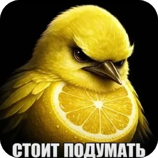 Sticker from Желтые птички