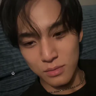 🐾 emoji : mingyu @bonesdolly Telegram sticker 24 of 40