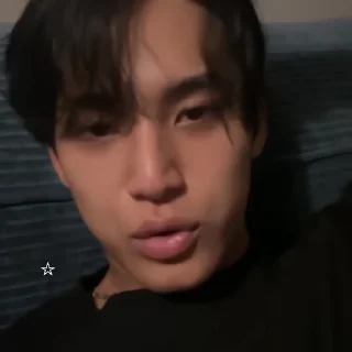 🐾 emoji : mingyu @bonesdolly Telegram sticker 2 of 40