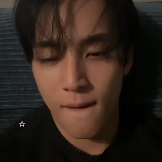 🐾 emoji : mingyu @bonesdolly Telegram sticker 19 of 40