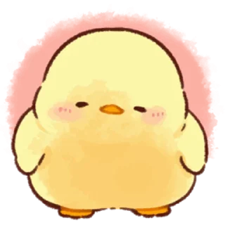 💗 emoji Soft and Cute Chicks 3 @softandqt Telegram sticker 20 of 24
