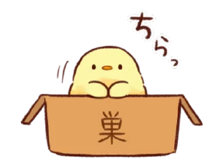 🙈 emoji Soft and Cute Chicks Animation @softandqt Telegram sticker 9 of 24