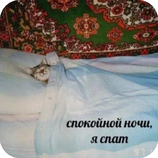 🫥 emoji Санечкин набор Telegram sticker 21 of 67