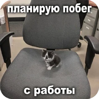 🫥 emoji Санечкин набор Telegram sticker 7 of 67