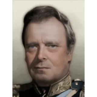 🇷🇺 emoji TNO Russian warlords Telegram sticker 6 of 46