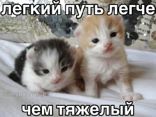 🌟 emoji котэк кнопка Telegram sticker 2 of 47